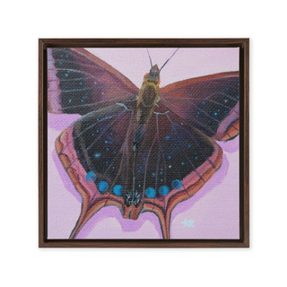 'Moon Butterfly' Framed Canvas Print