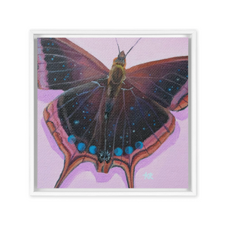 'Moon Butterfly' Framed Canvas Print