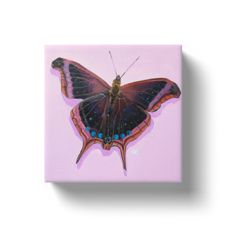 'Moon Butterfly' Canvas Print